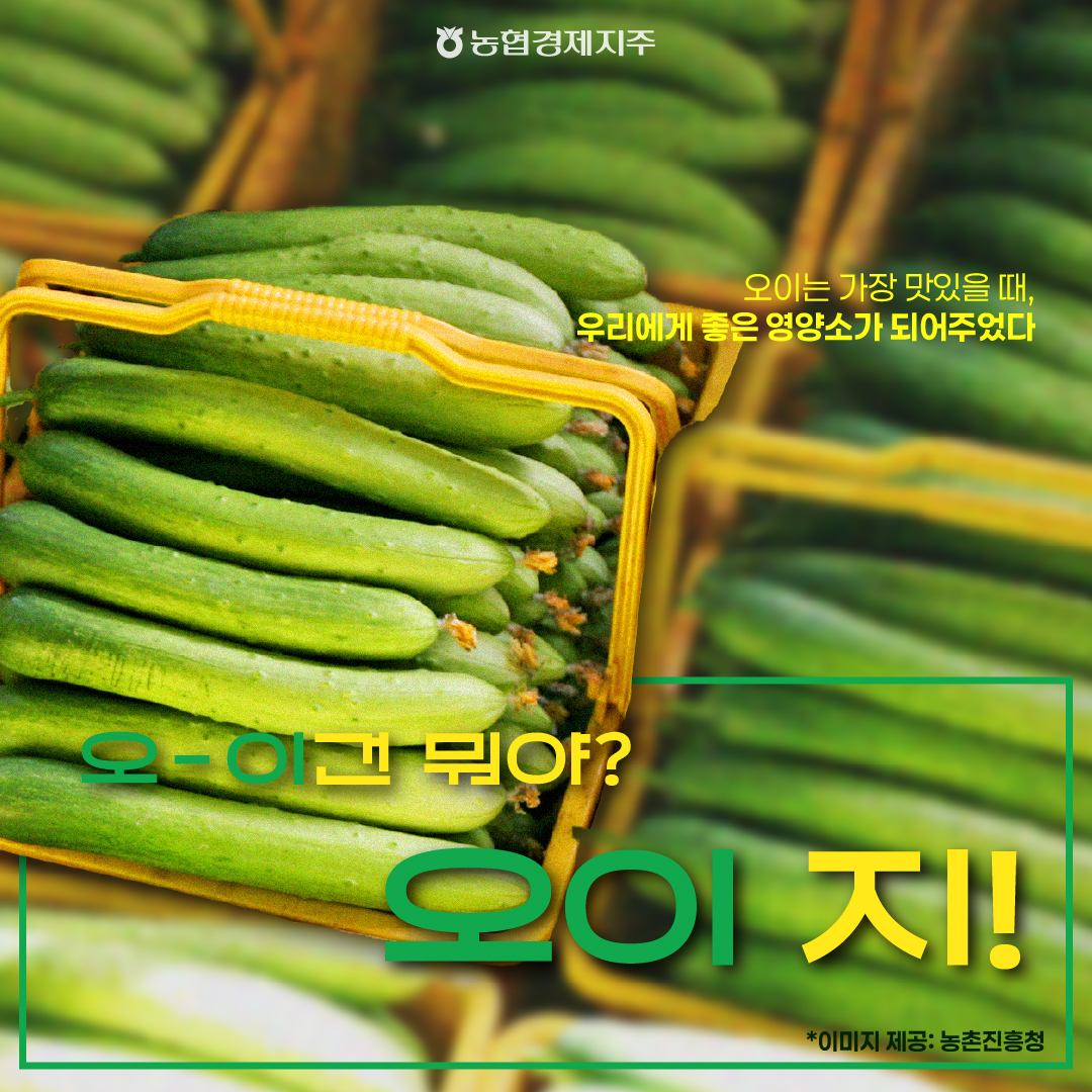 캠페인 F 썸네일